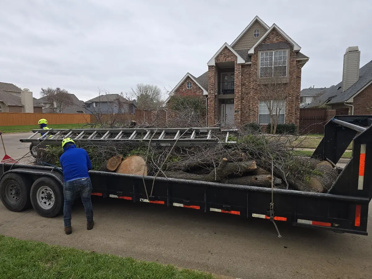 Expert Tree Fertilization with proper safety equipment in Woodberry Forest